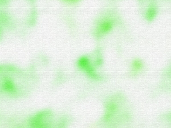 大沢たかおファンミーティング10東京 その1 牛のさんぽみち